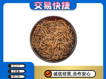淮北回收散虫草